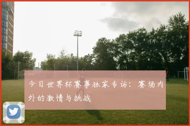 今日世界杯赛事独家专访：赛场内外的激情与挑战