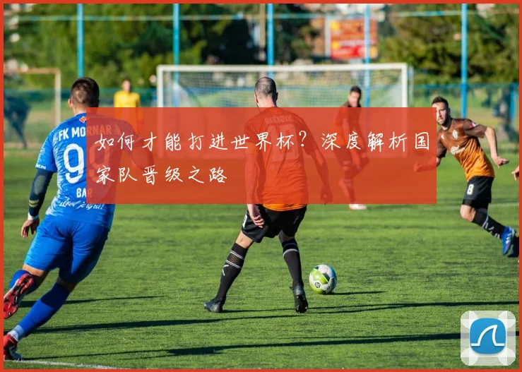 如何才能打进世界杯？深度解析国家队晋级之路